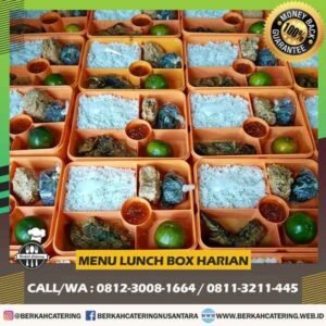 Paket Catering Harian - Lunchbox Lengkap